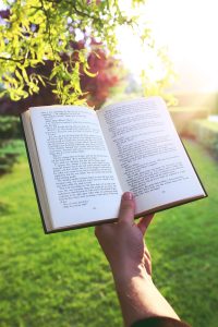 book, hand, nature, reading, read, sunset, garden